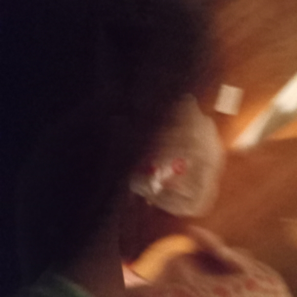 Coach boots - Picture 8 of 8